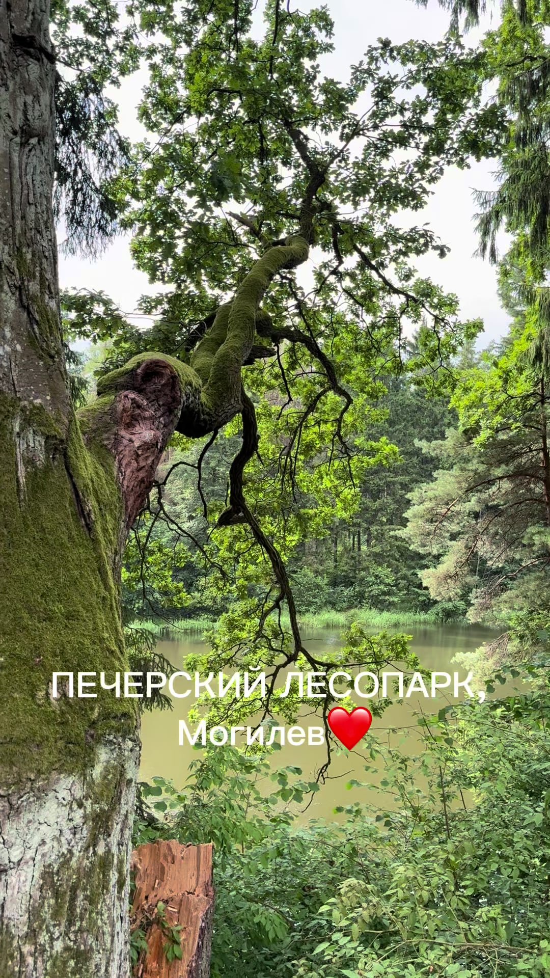 @ProMogilev24/7