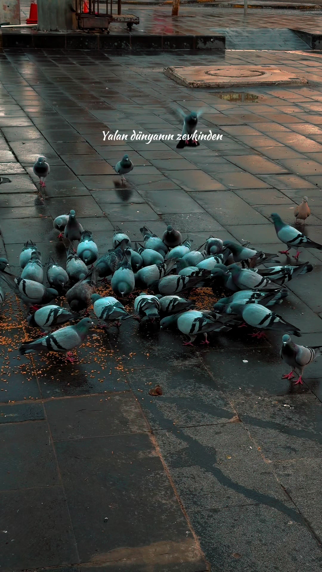 @MehmetDOGAN