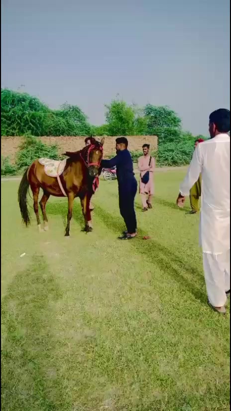 @Ali🔥Haider👈rajpoot😈