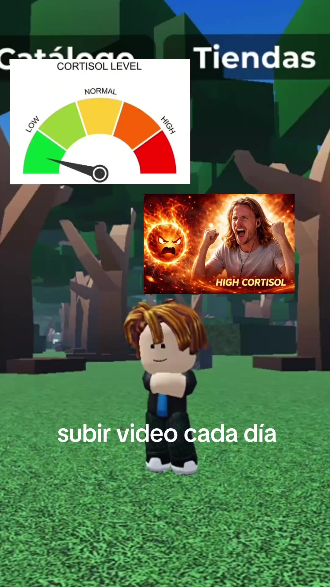 @Tocinacio