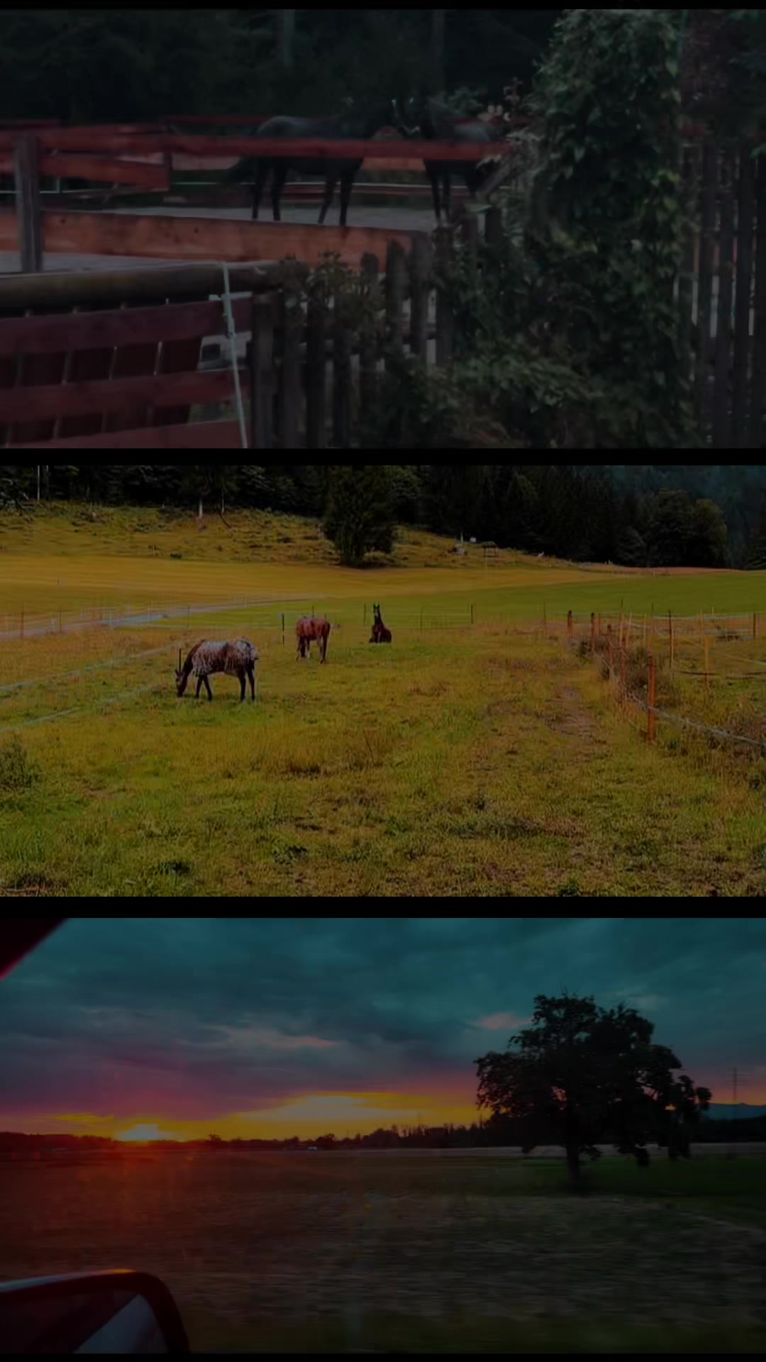 @Mountain Hill Ranch 🇦🇹