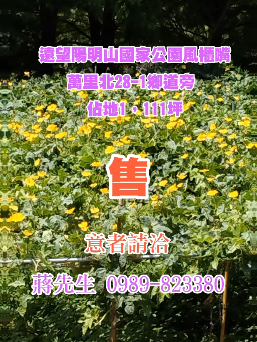 @浮生若夢
