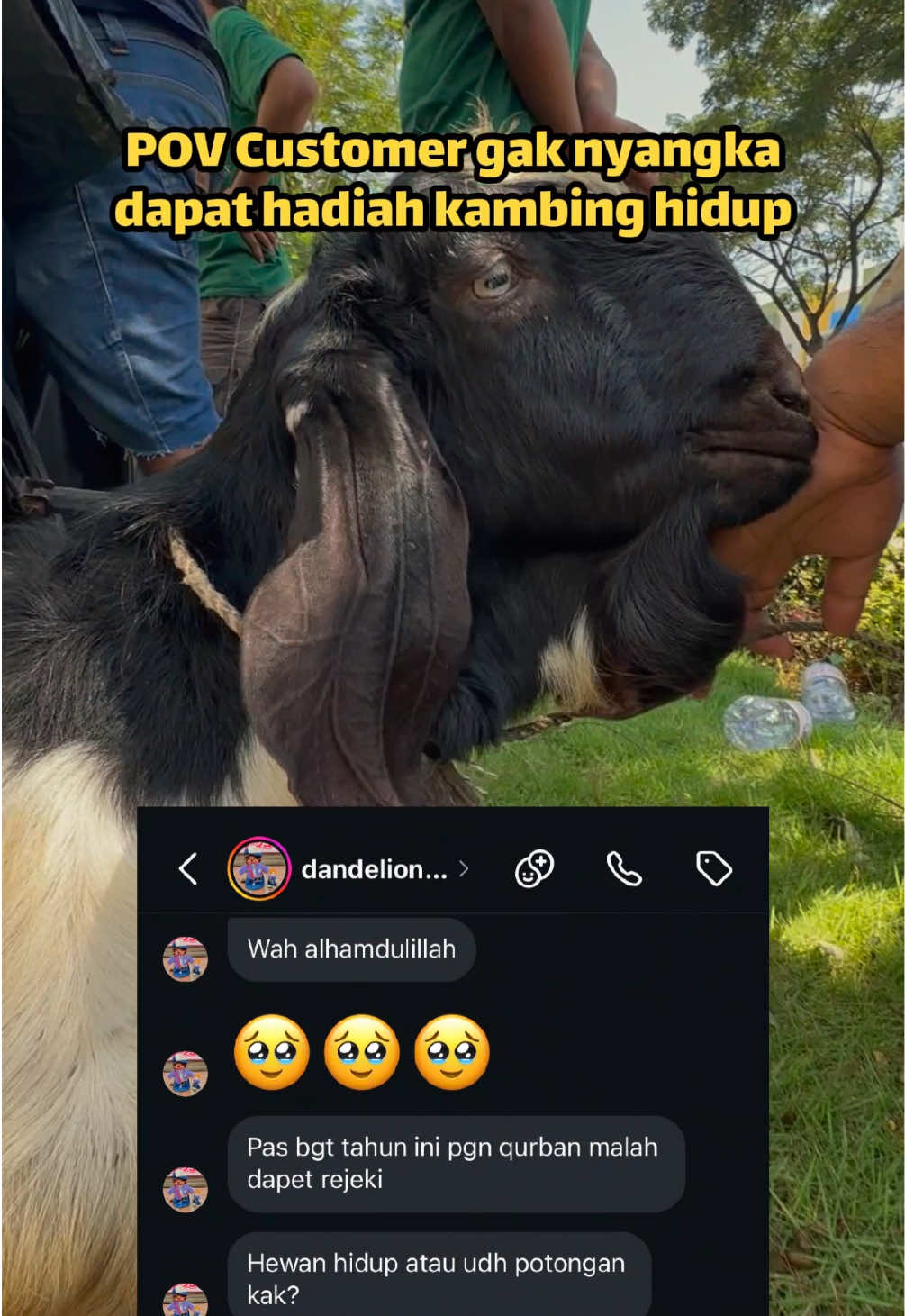 @Roscik