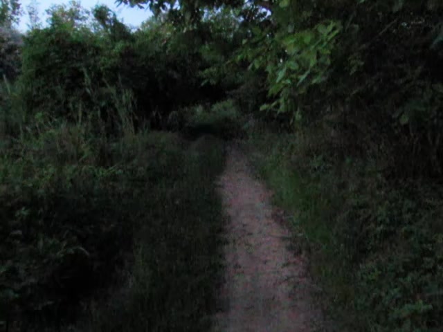 @lost in nostalgia