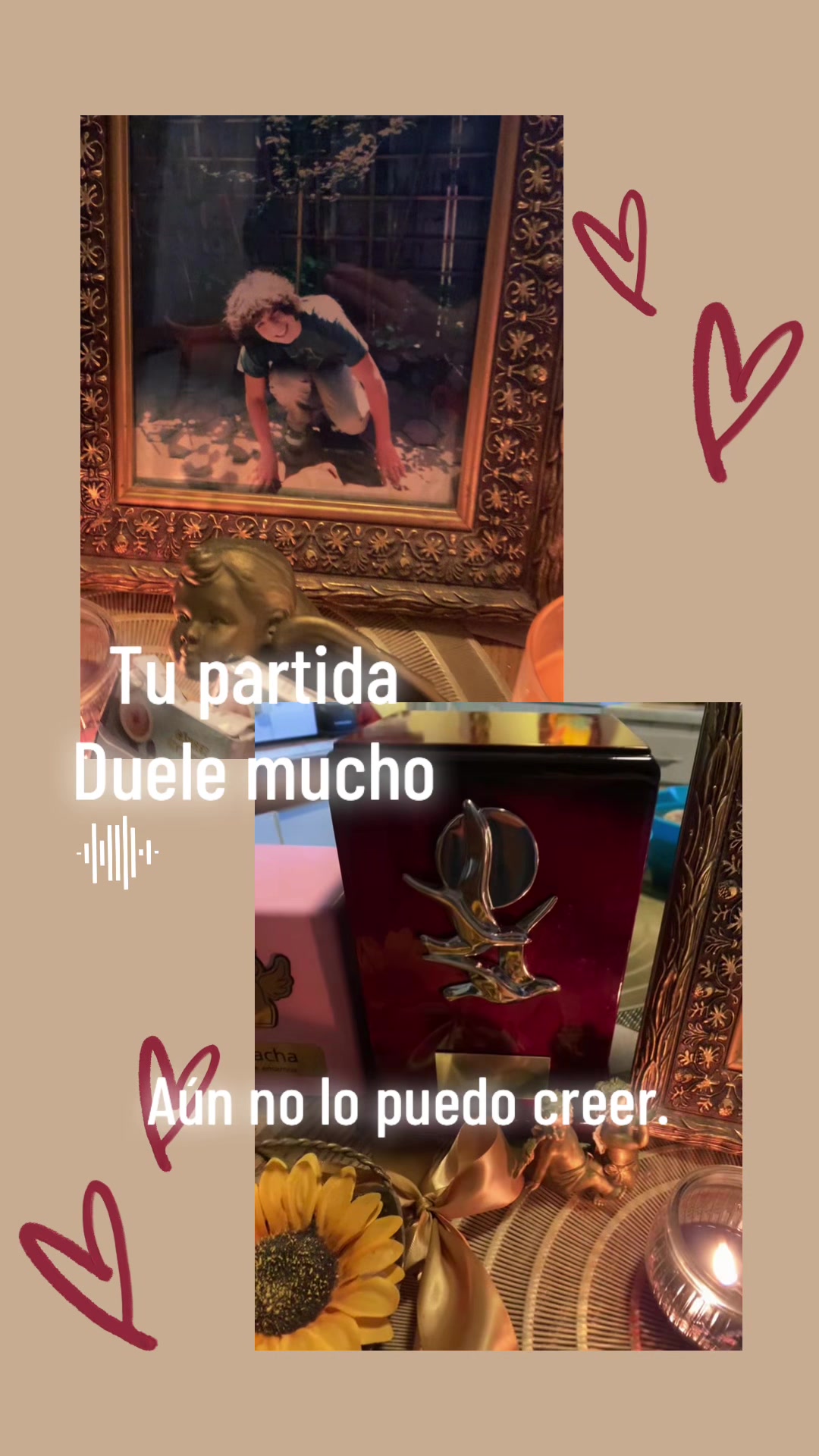 @Fabiola Castañeda520