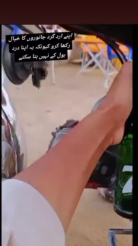 @⚔️وحید عرف بنوں بادشاہ⚔️