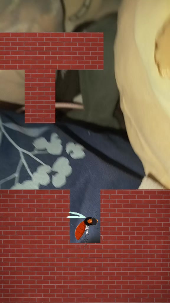 @Paquitoplays5