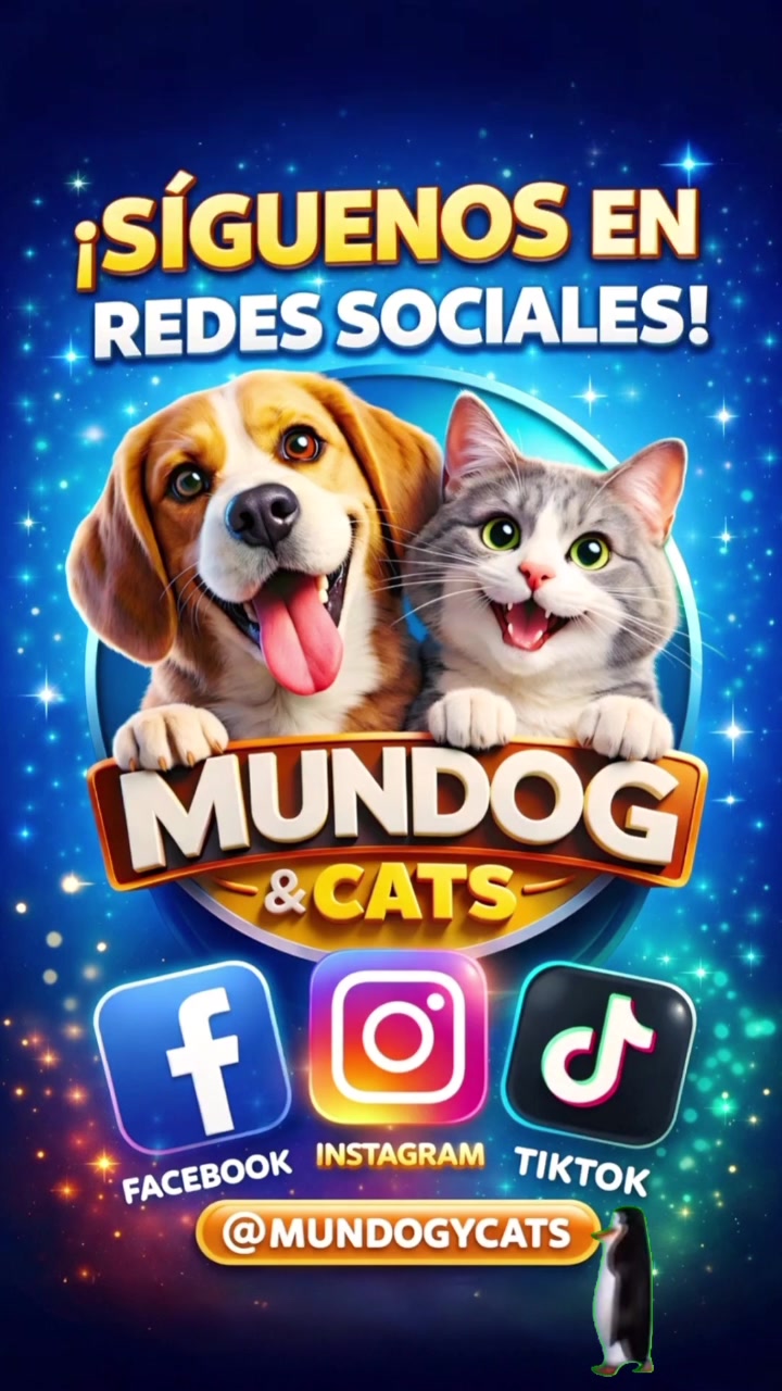 @Mundogycats