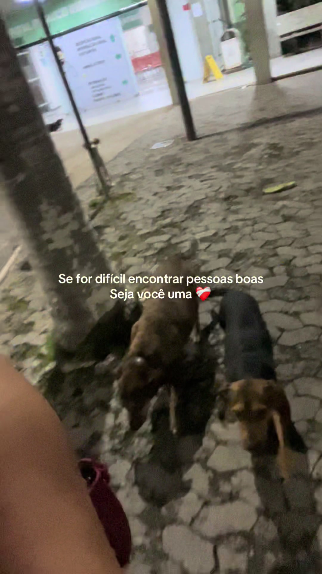 @Nathielle Dias