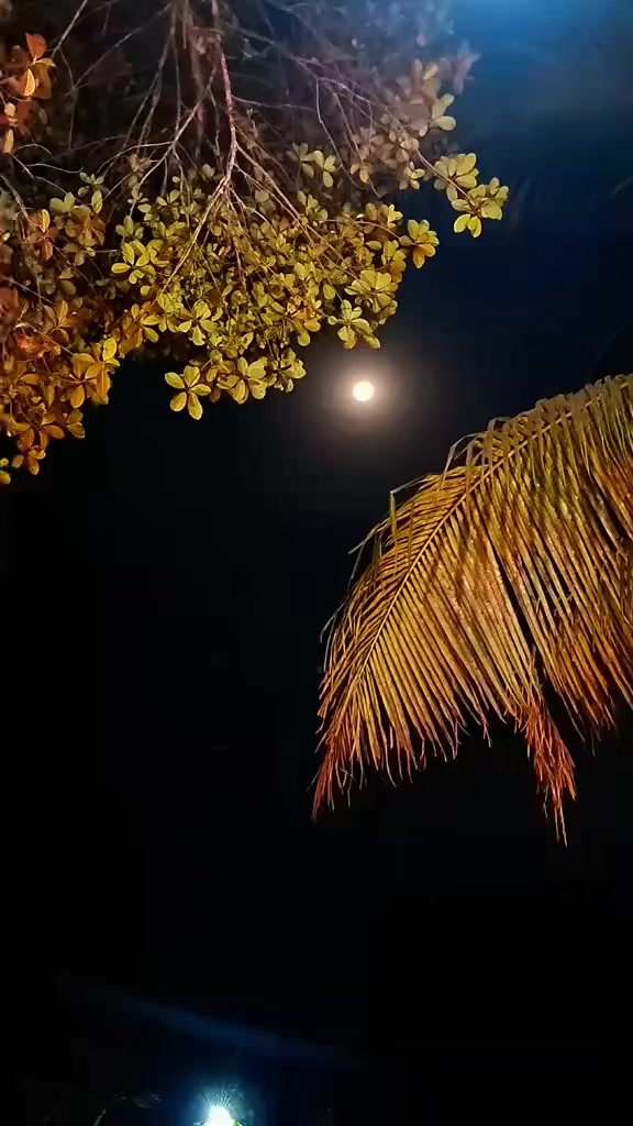 @💝উড়ো মেঘ💝