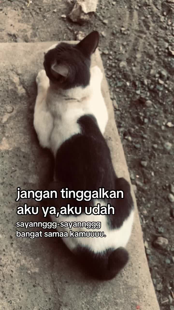 @fikarr