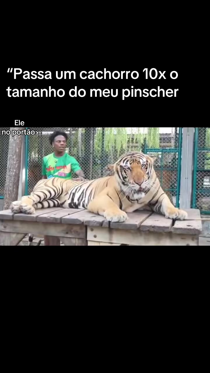 @Resenha Zuera