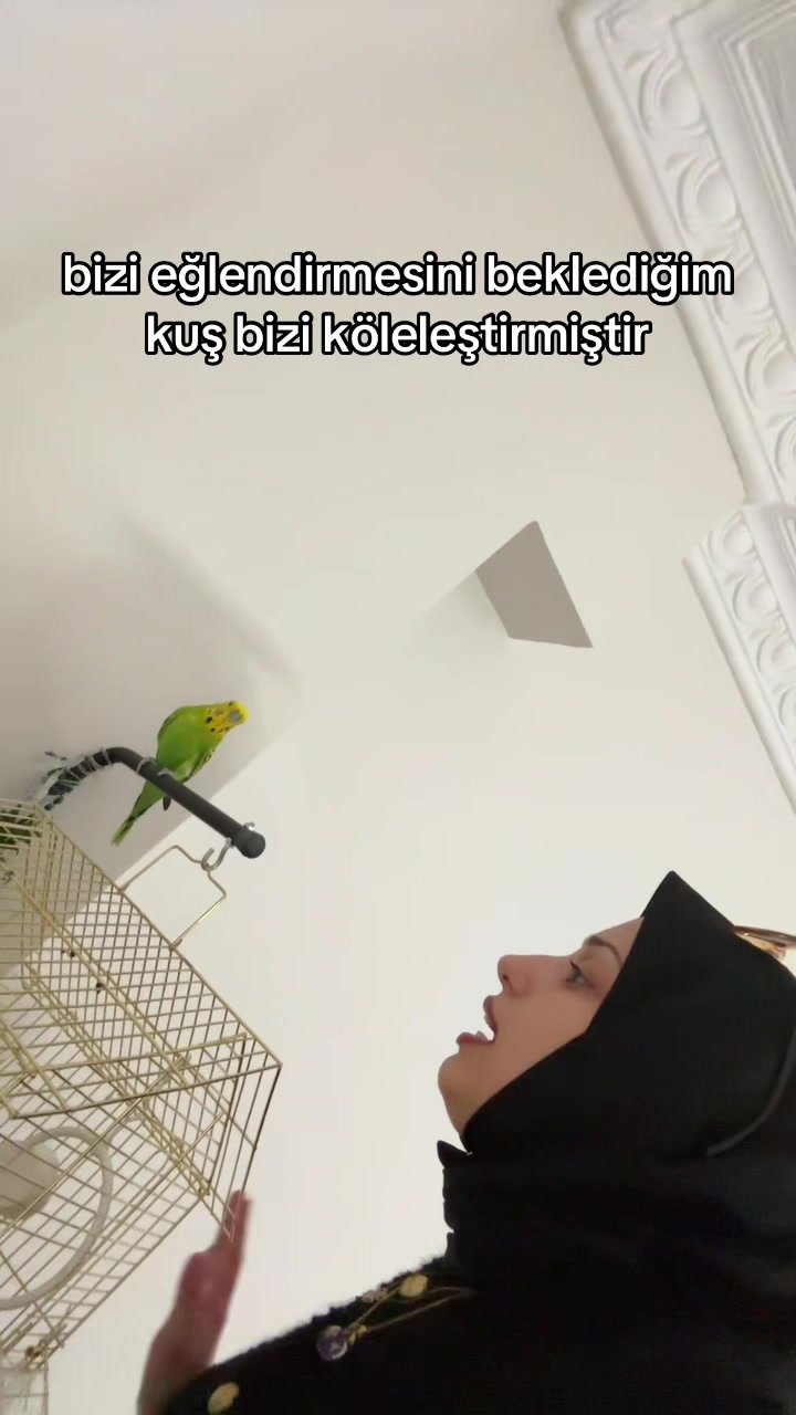 @1humeyarkus
