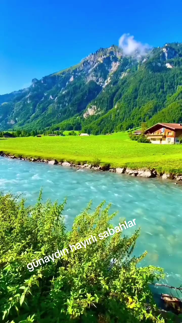 @zalimin kızı 06