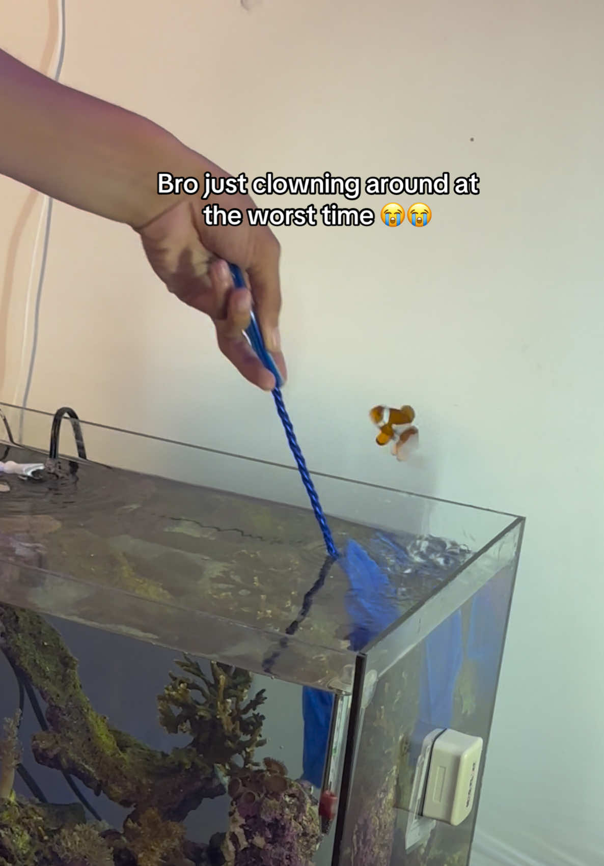 @ReefSync