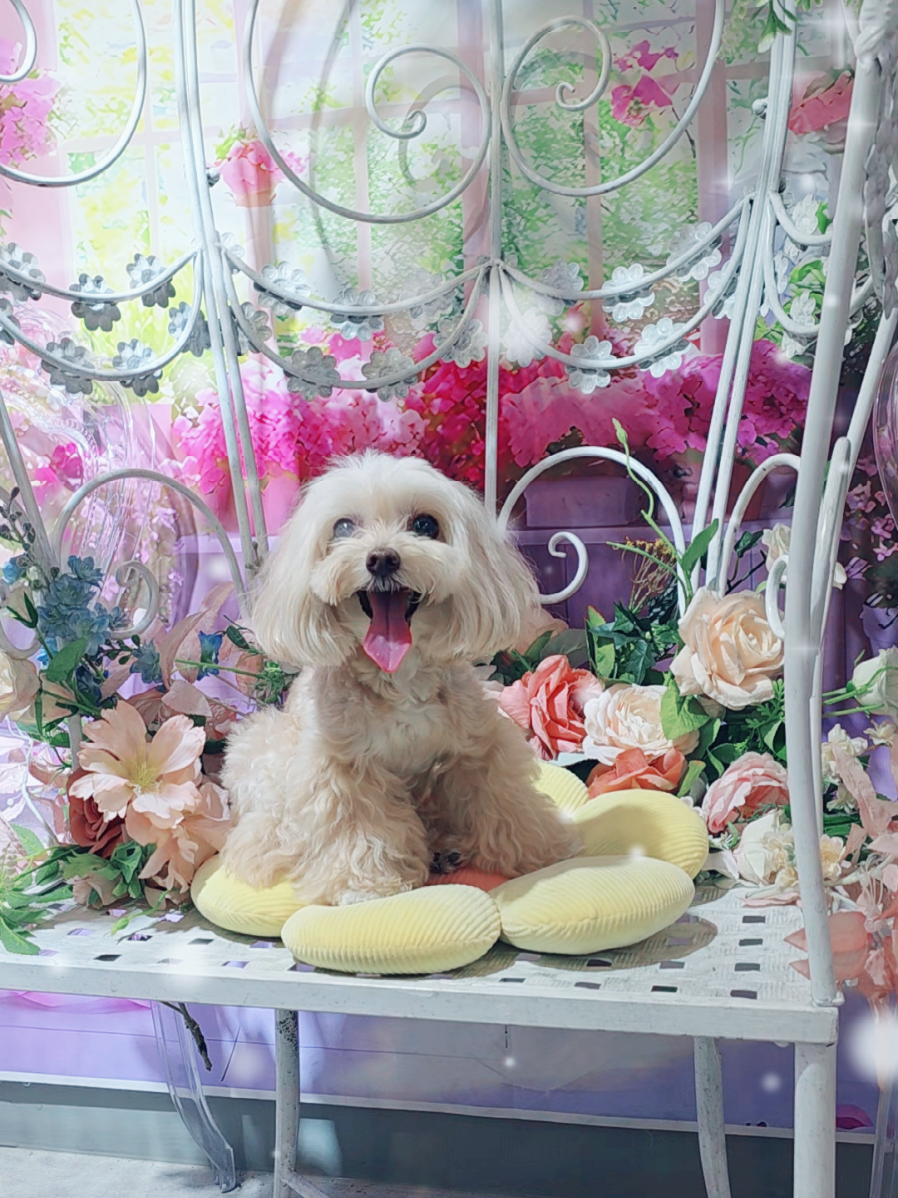 @토리엄마
