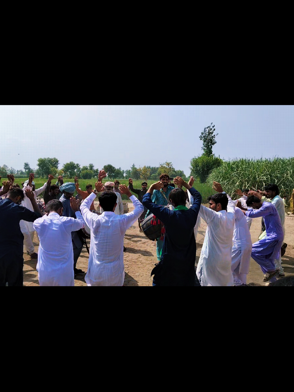 @سیدمحمد علی شاہ
