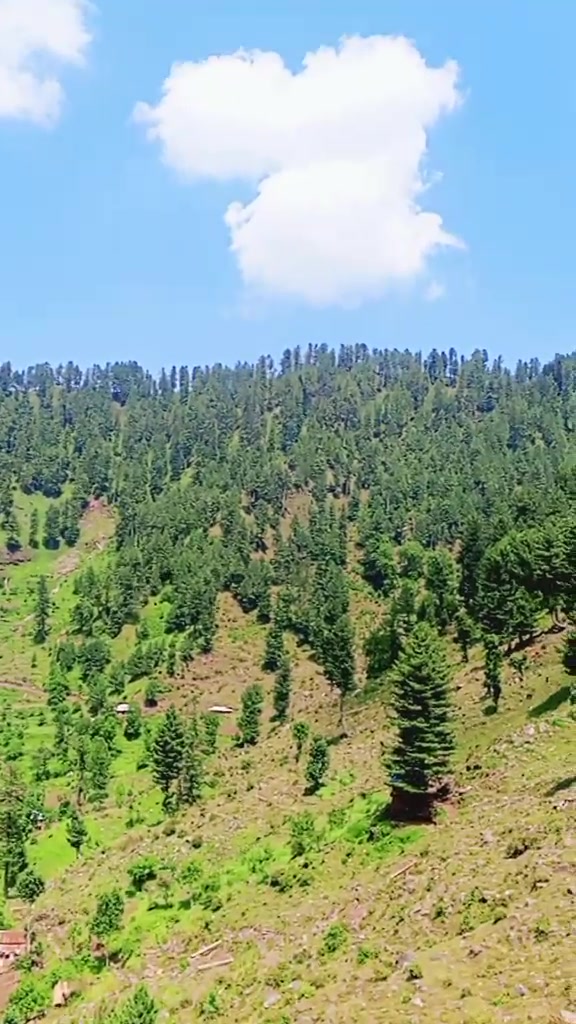 @@SAMEER:KASHMiri, ❣️🅰️🤲