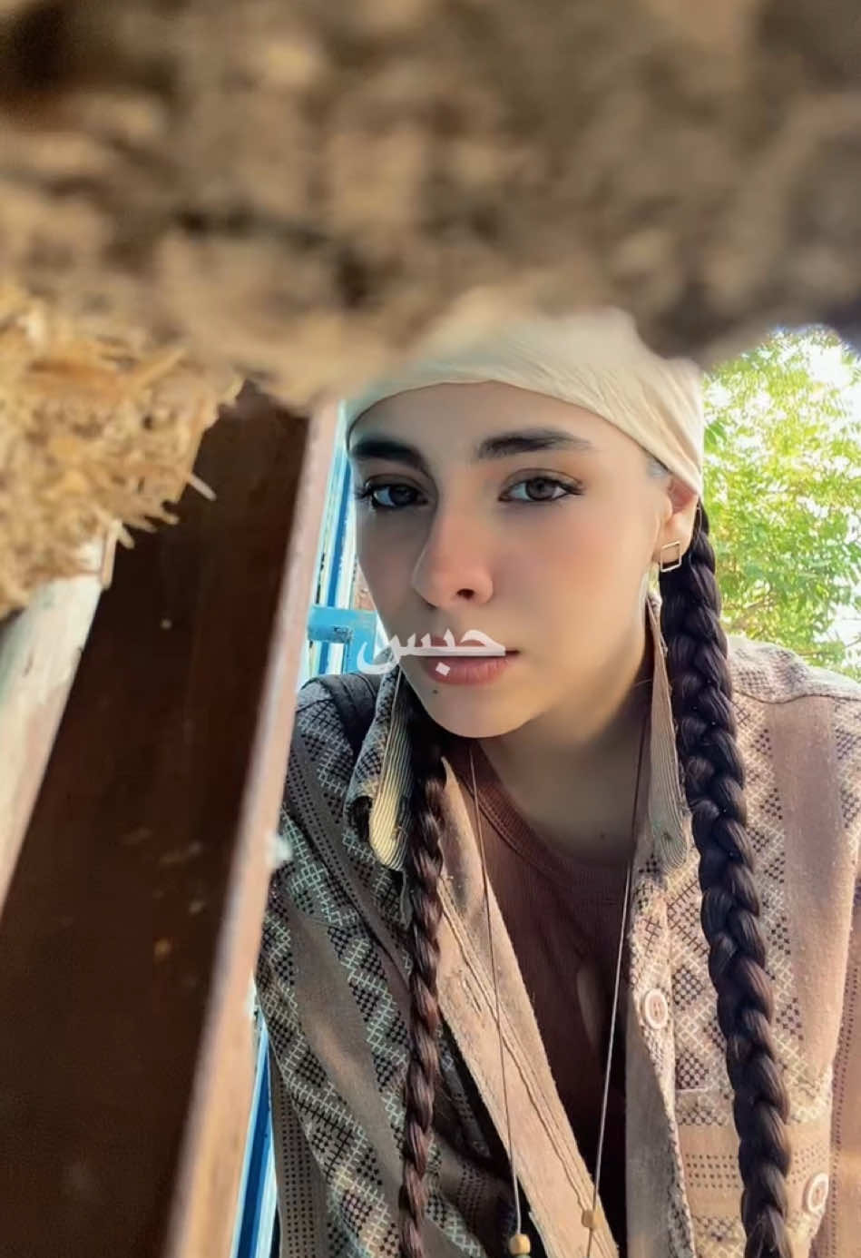 @Dina Agheli