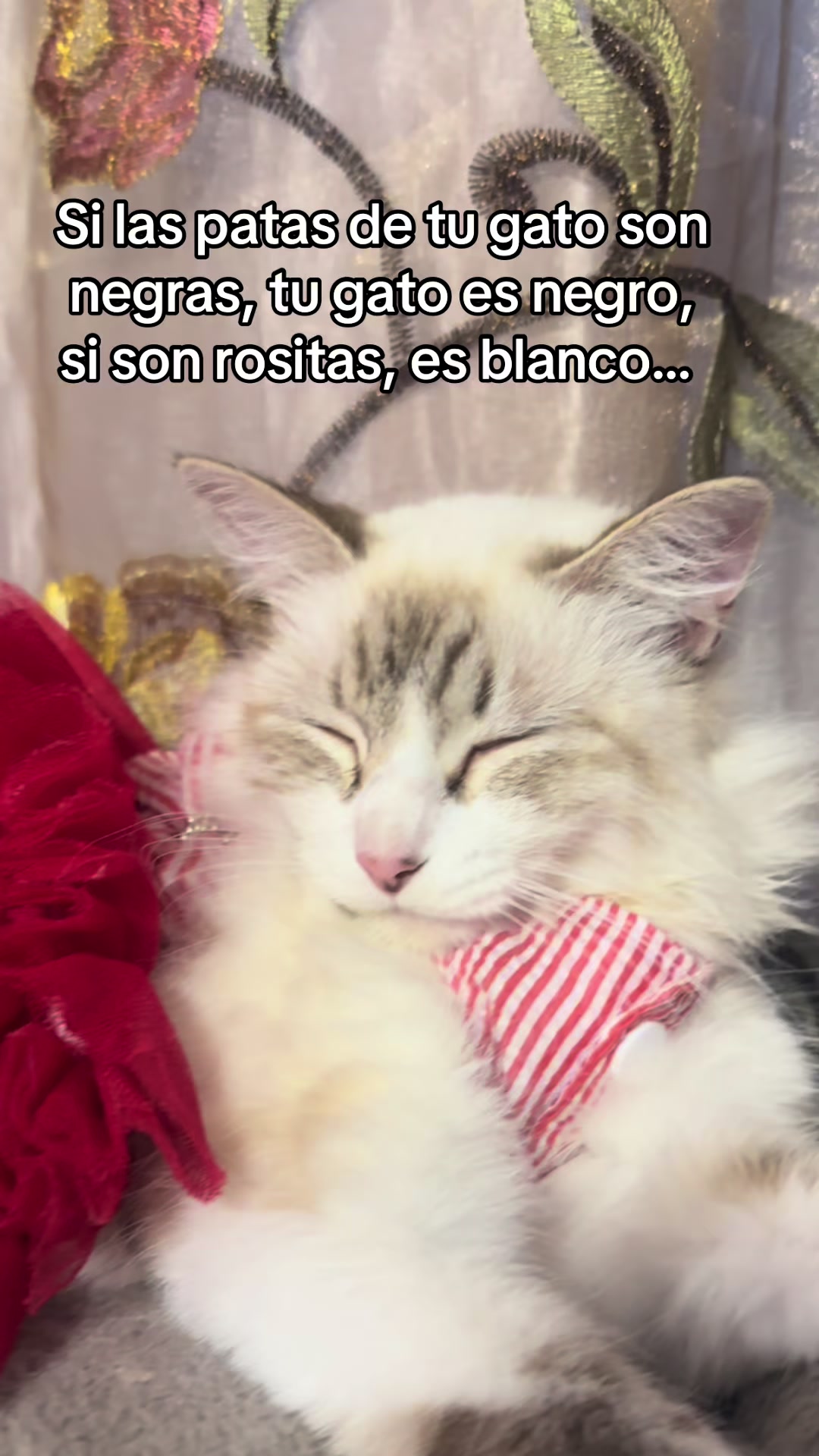 @🌙Mariana De la Noche✨