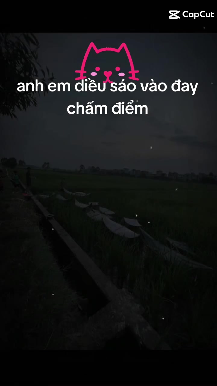 @chiendz