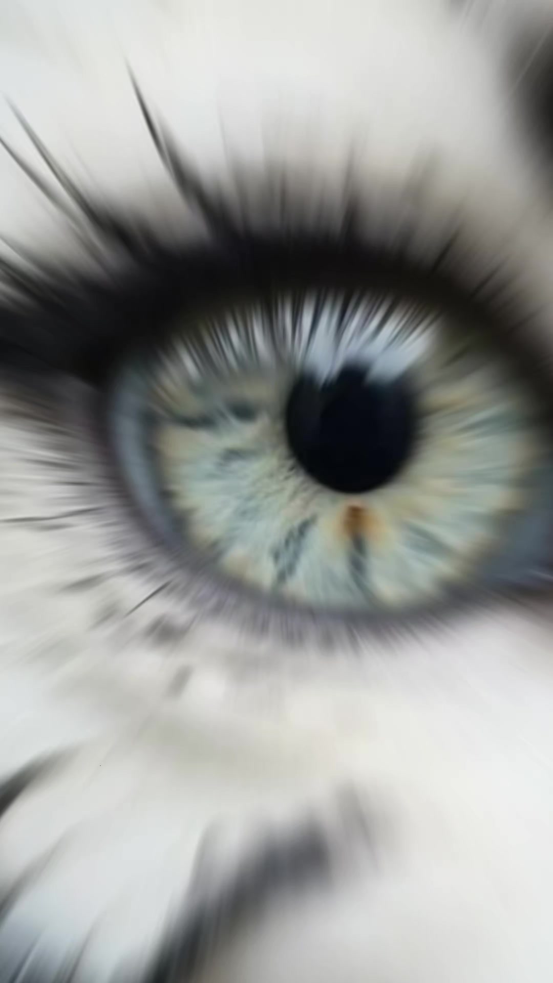 @🫀آلُـِـِِـِِِـِِــوُآفُـ,ـي🦁