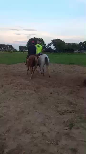 @JOSÉ DAVID