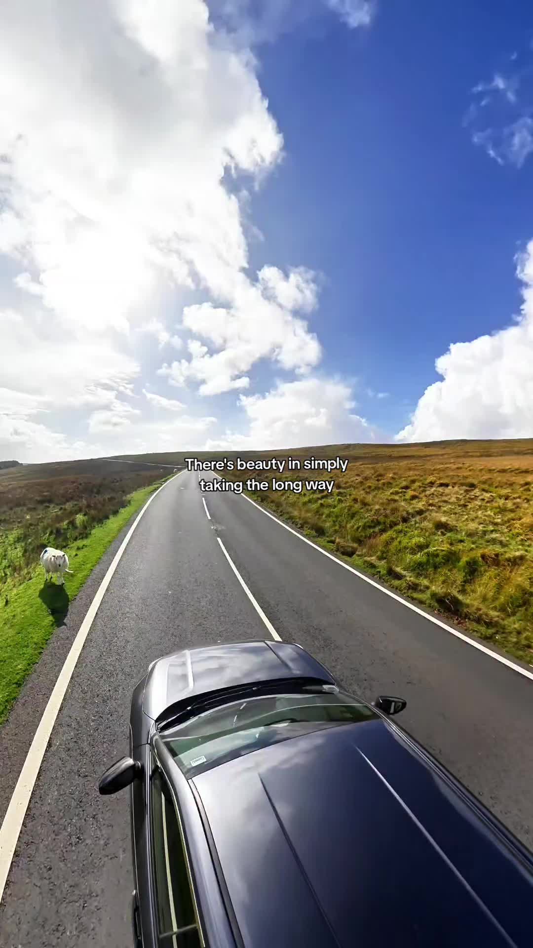 @Travelling Welshman ®