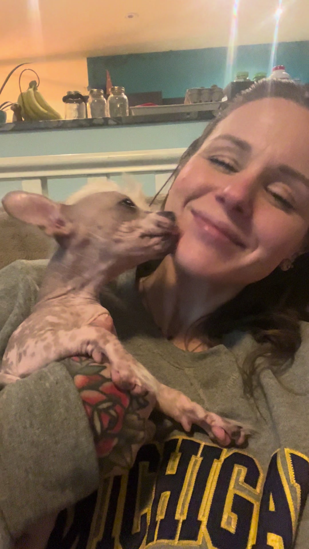 @Chinese Crested Cuties
