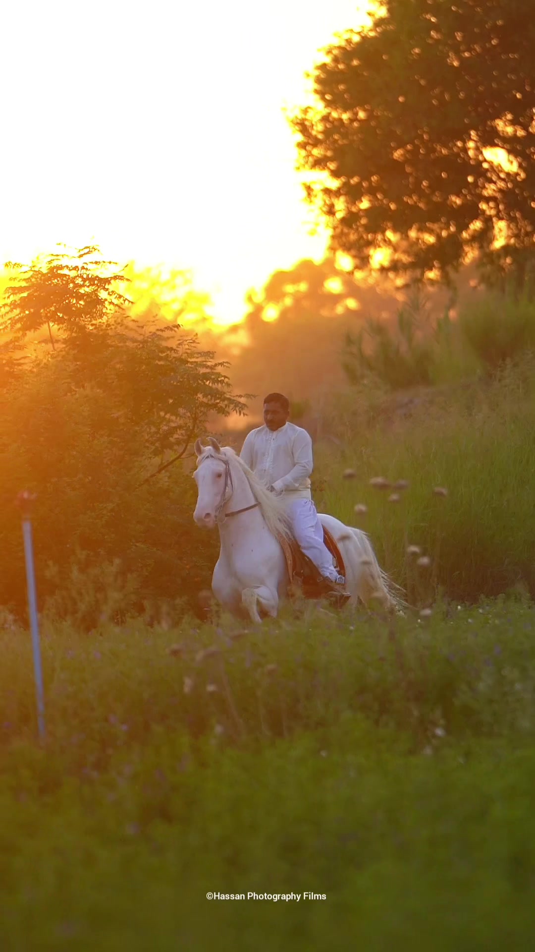@SUNRISE STUD FARMS RAWALPINDI