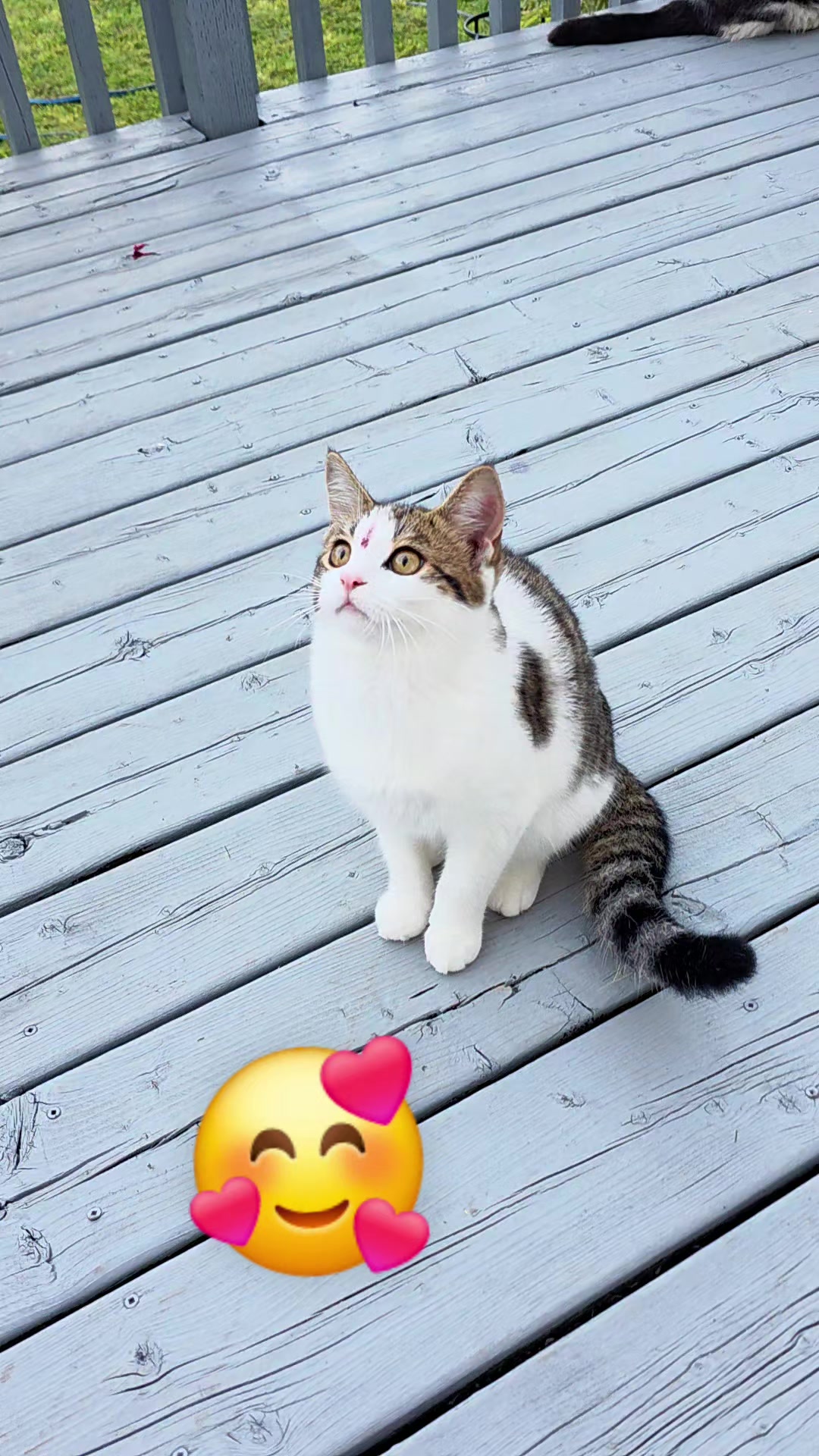 @Midhara❤️