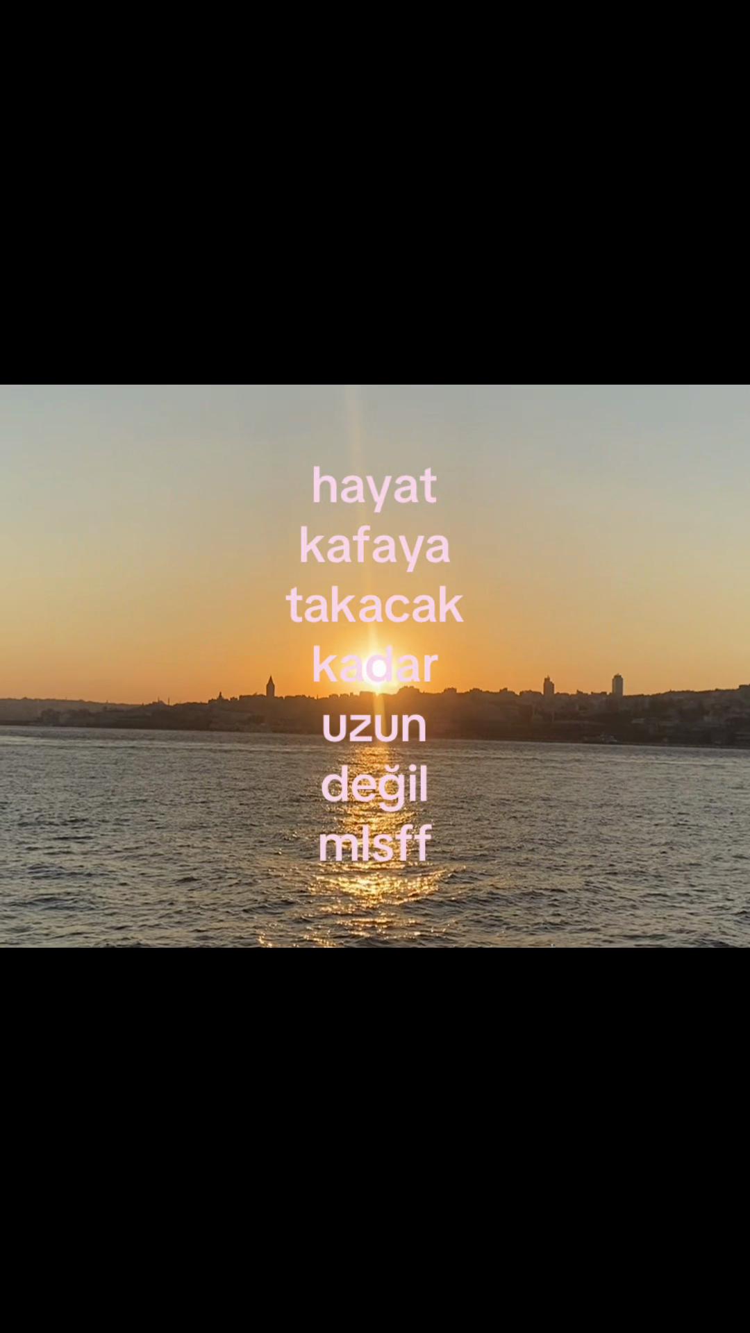 @Kızıl sincap 🐿️