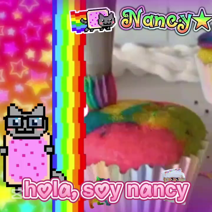 @°❀⋆.ೃ࿔*:・nancy cat°❀⋆.ೃ࿔*:・