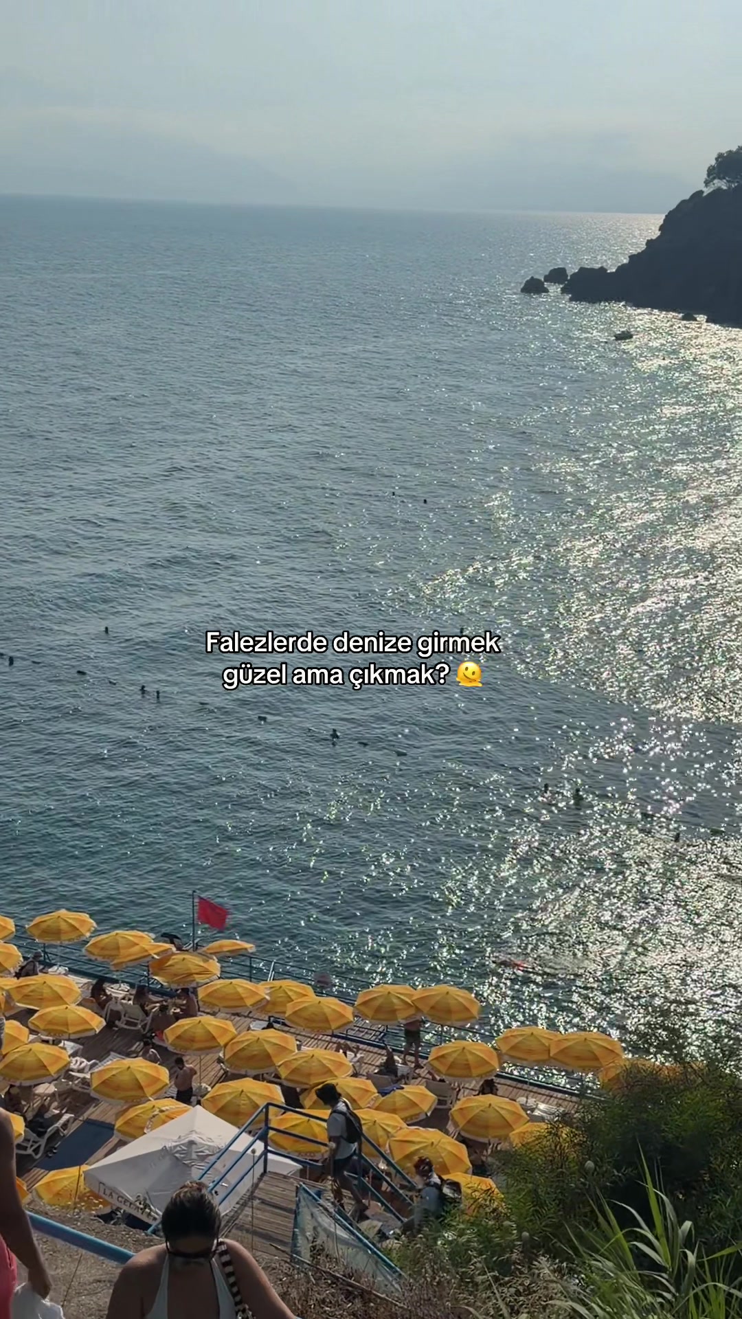 @av.melolog