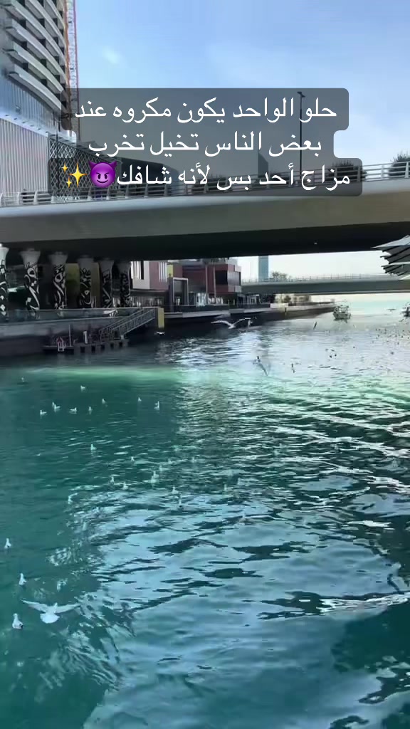 @@mas24__q8