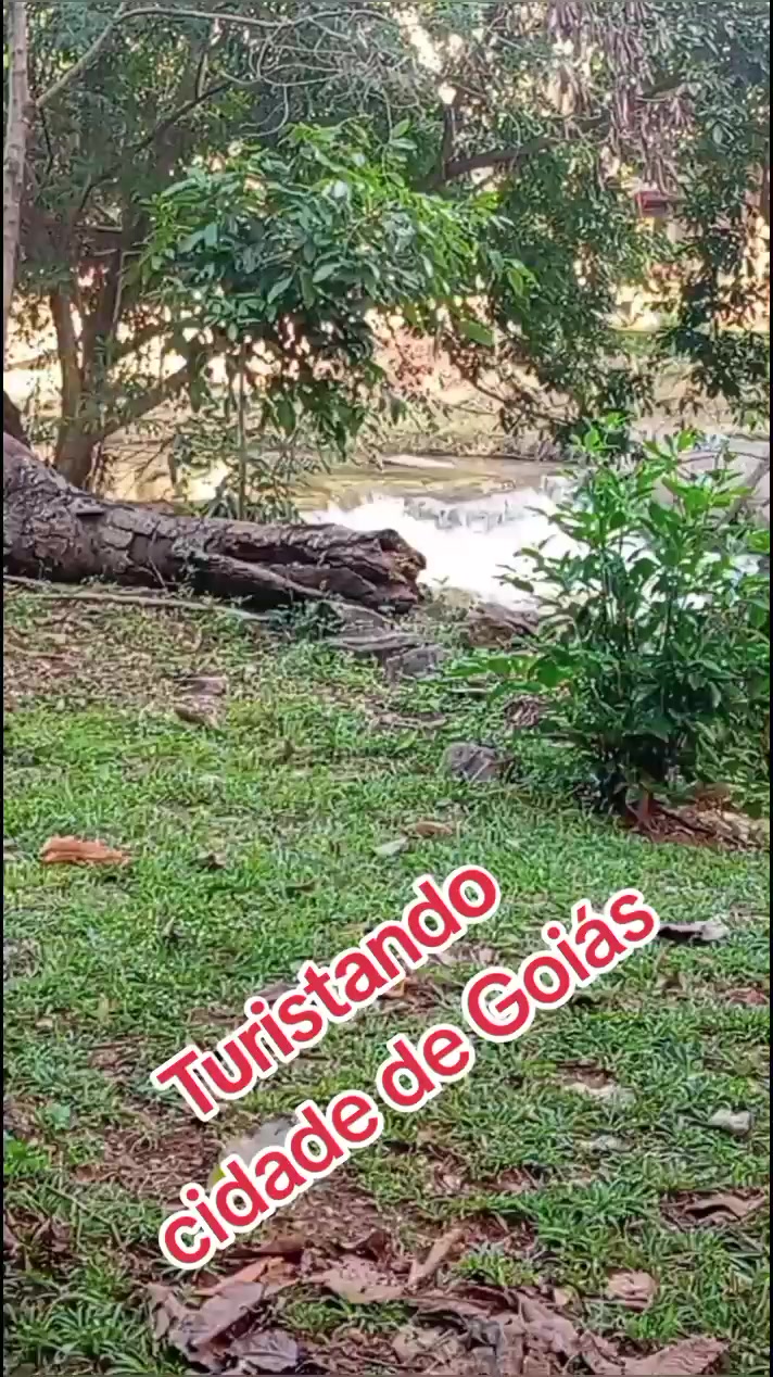 @Almerinda80