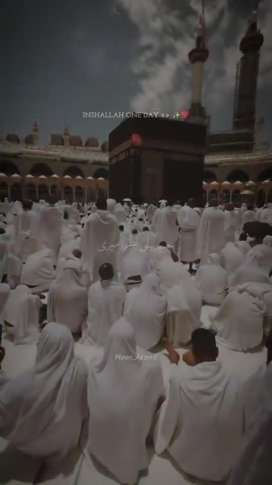 @naveed008