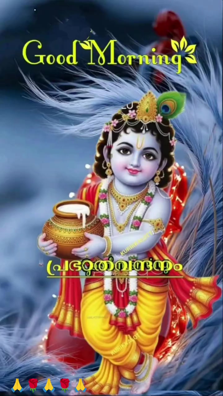 @Preetha Aji