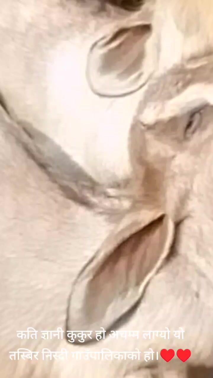 @narmatisingjali