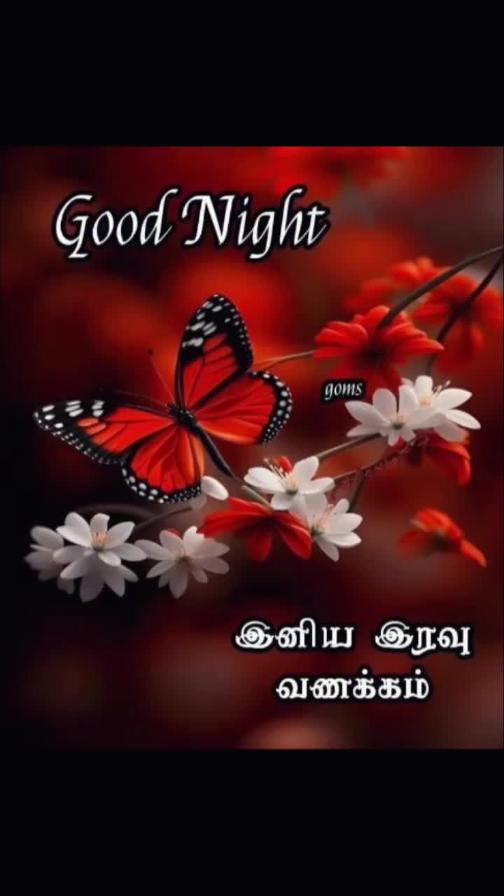 @Sai Meena