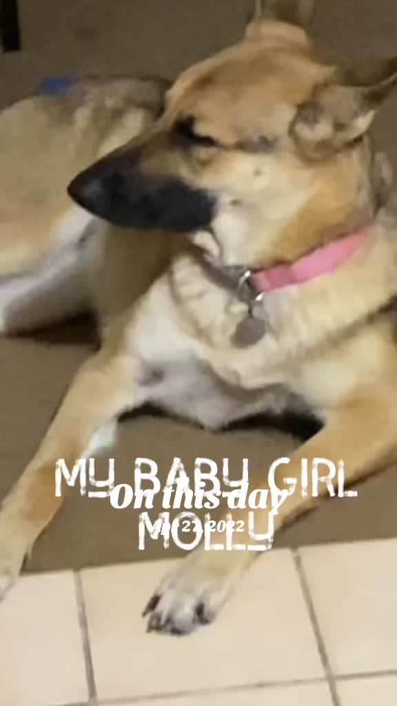 @Trucker_Ole_Snapper