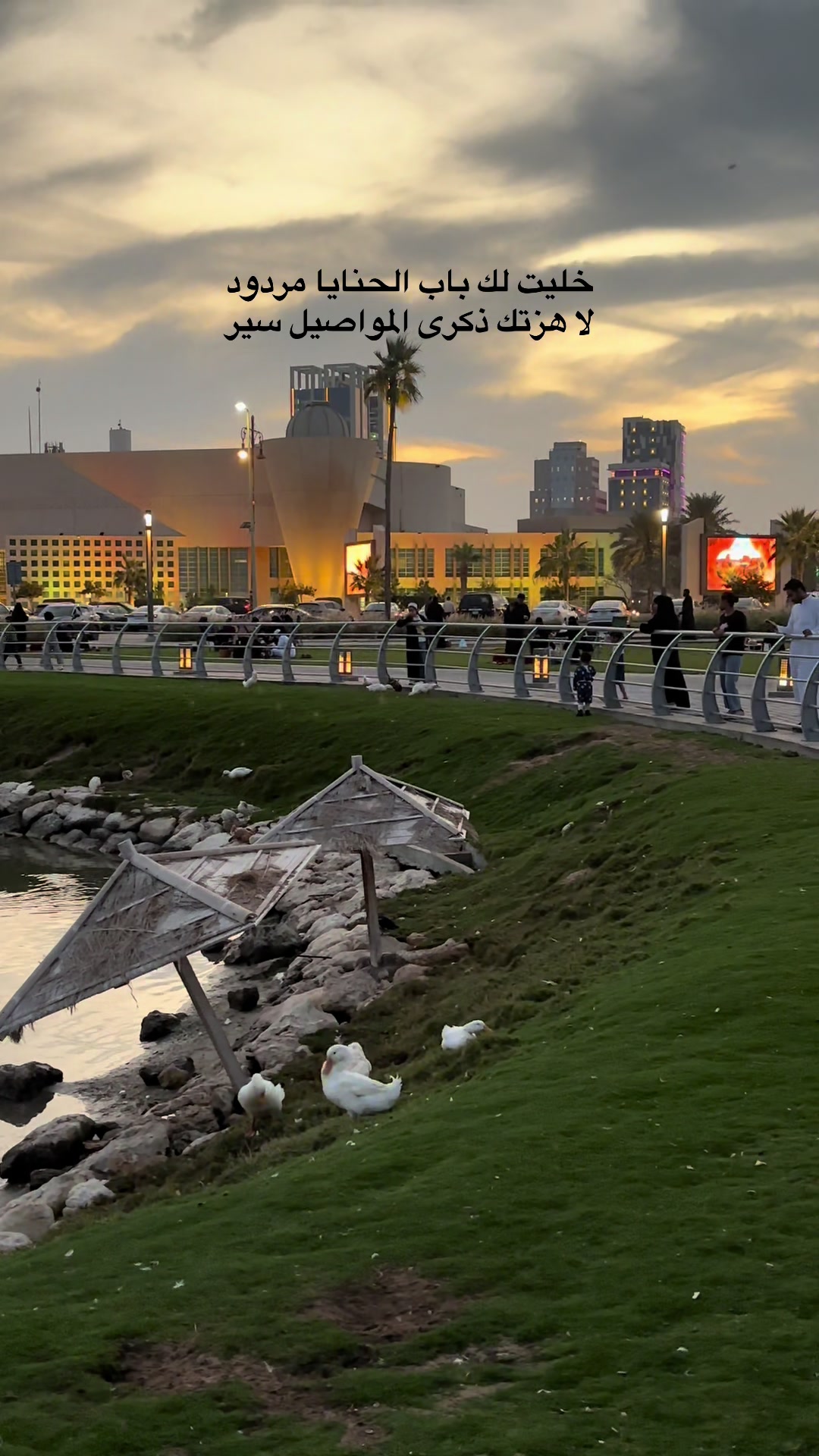 @﮼هديل﮼الخبر 🕊️📸