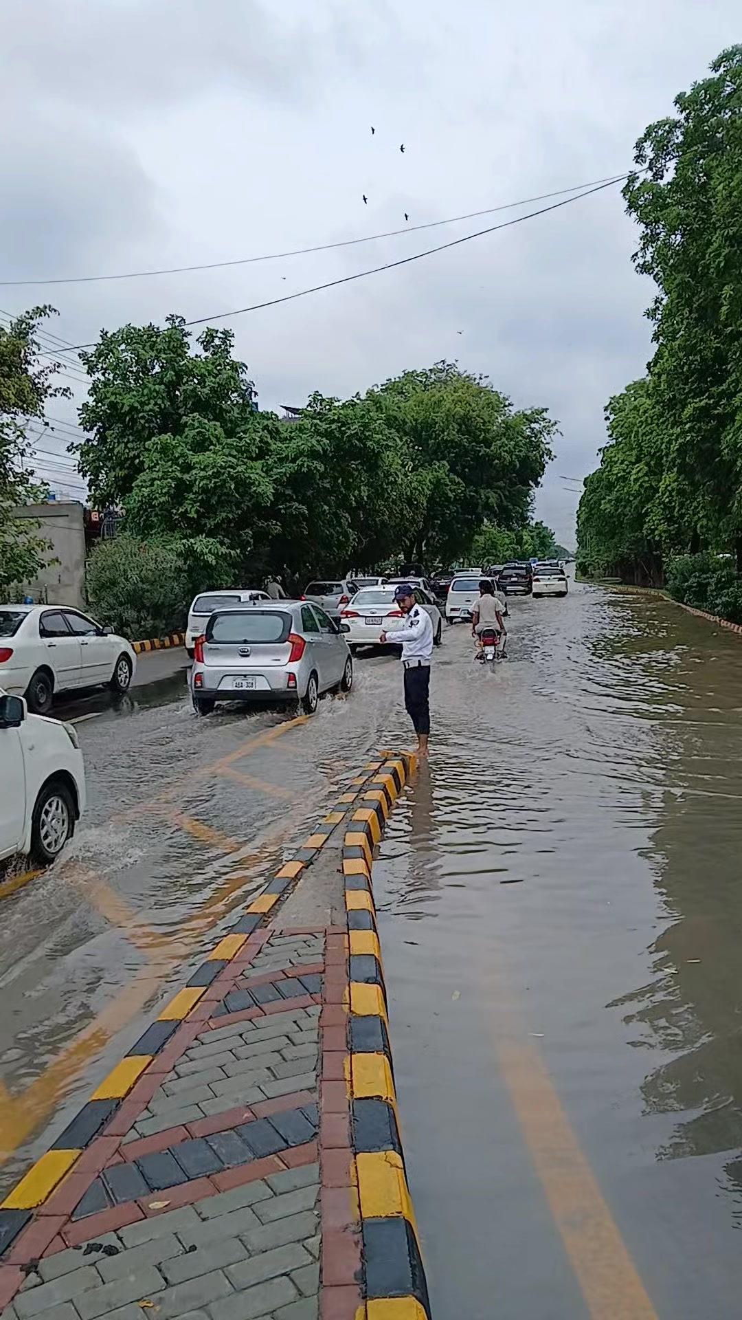 @Lahore Traffic Police Official