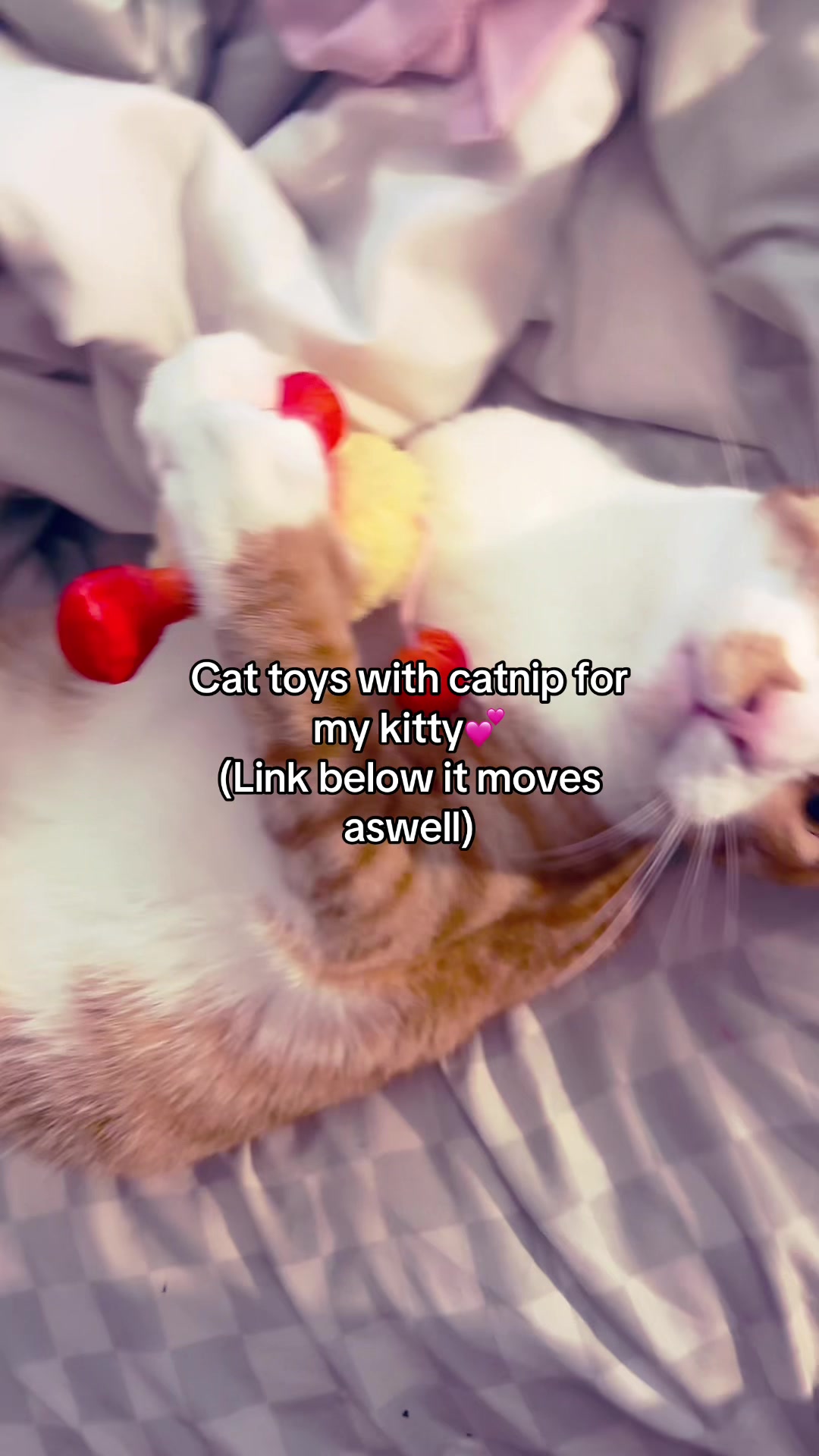 @Kiki🩶