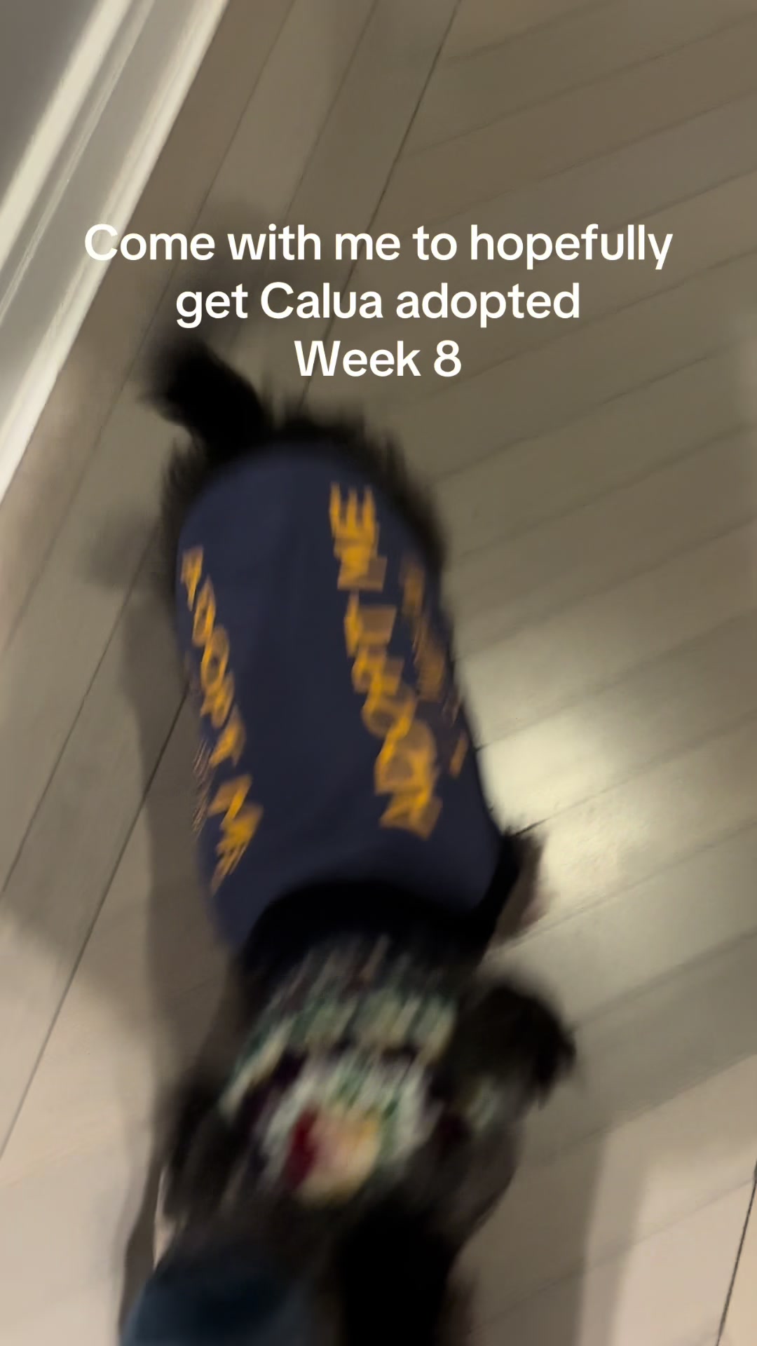 @gens_pups