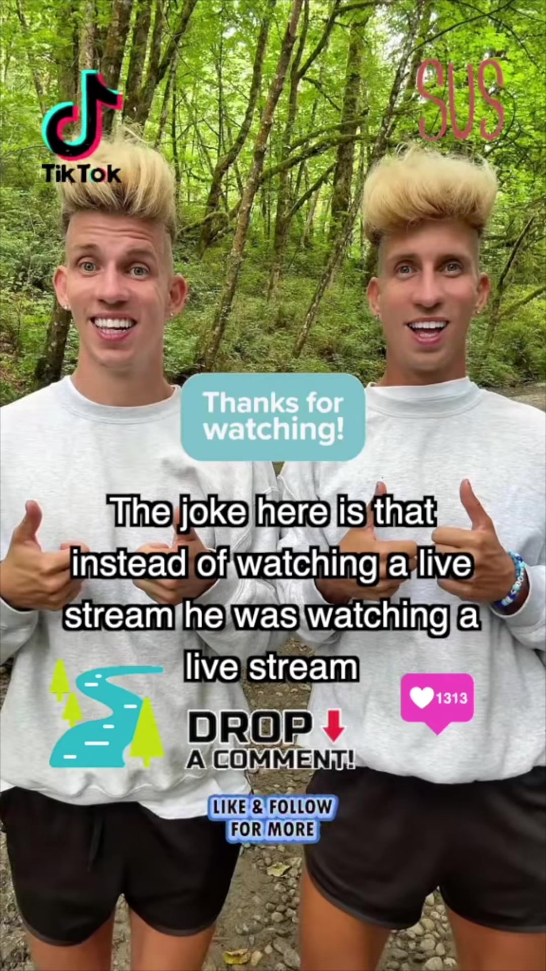 @vorostwins
