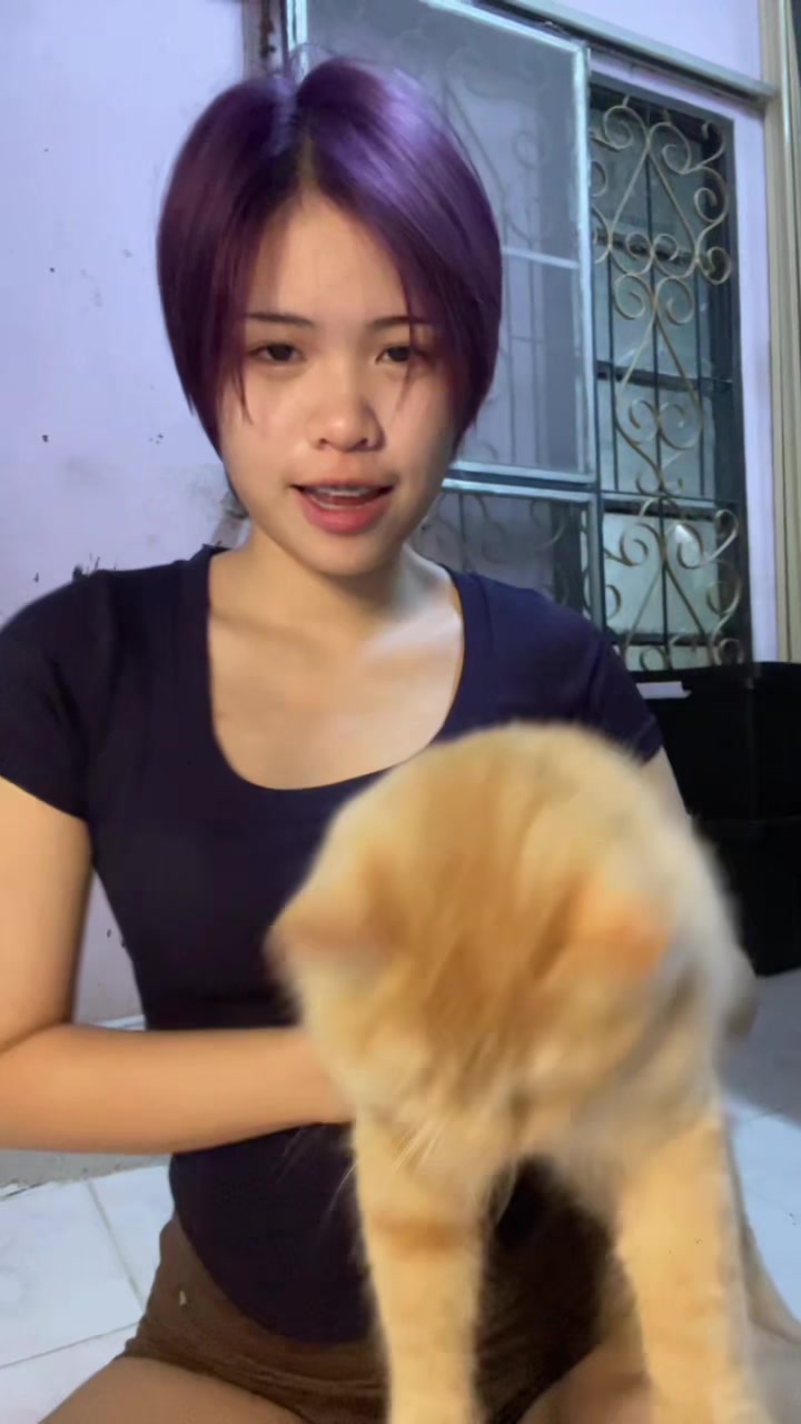 @Mewwi Cat