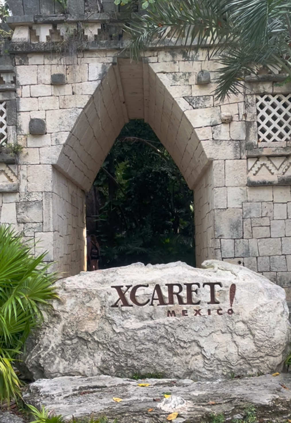 @Kenia Montserrat