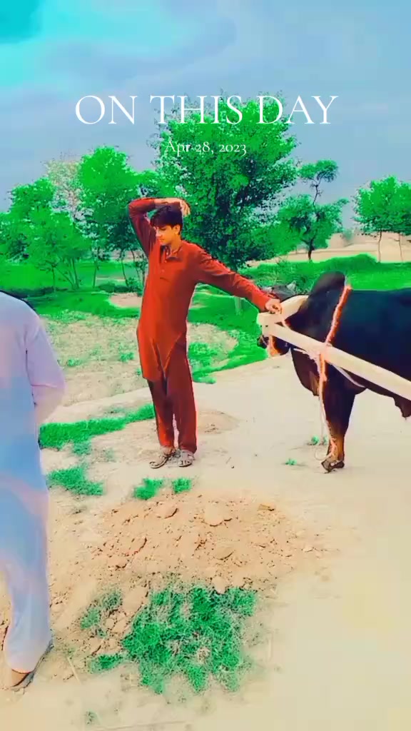 @Rao usama670