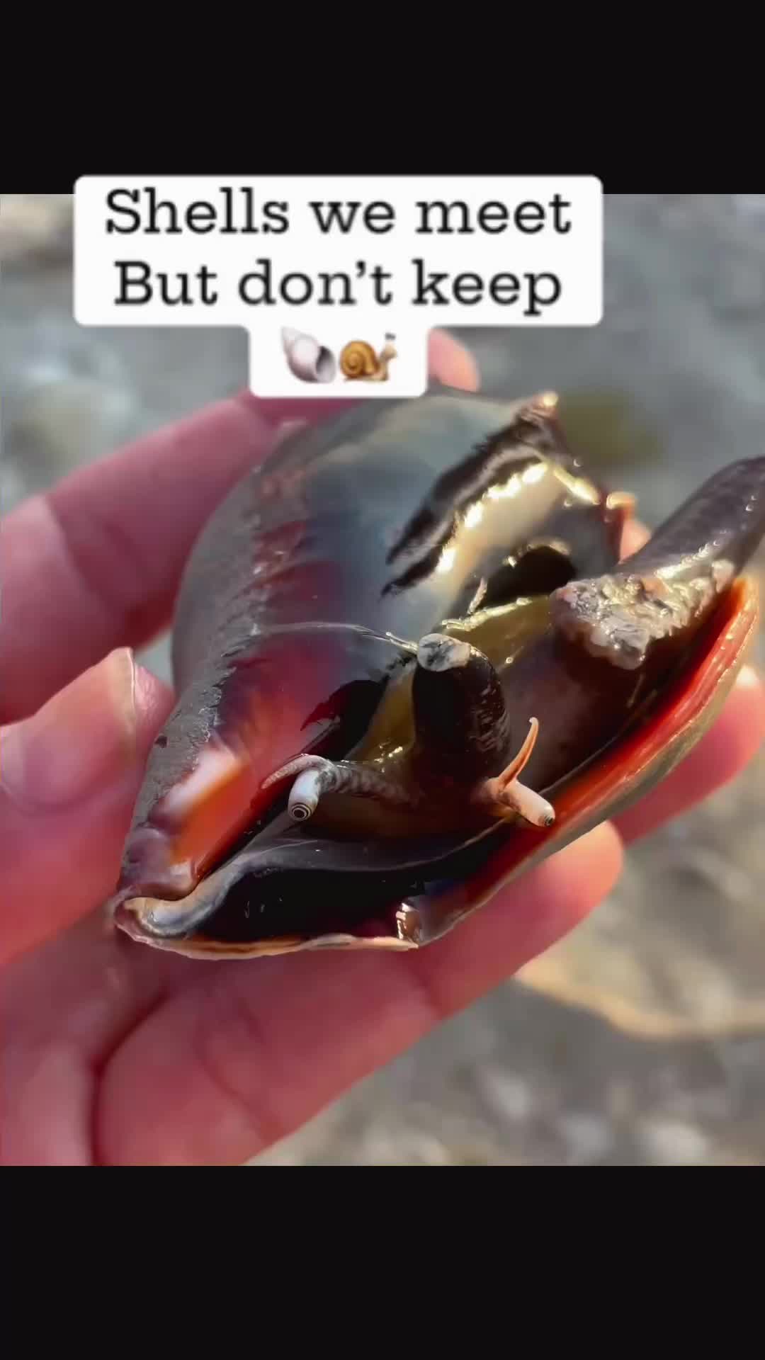 @good time charters FMB